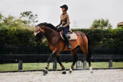 Discount Tapis de selle CHAMPAGNE - Tapis De Cso|Tapis De Dressage