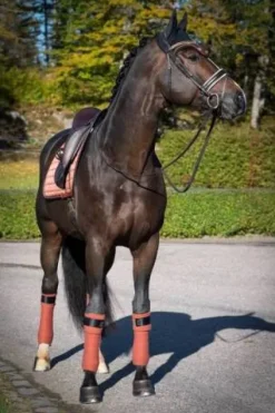 Discount Tapis de selle Cinnamon Spice - Tapis De Dressage|Tapis De Cso