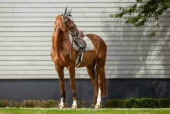 Discount Tapis de selle Corduroy - Dy'on Tapis De Cso|Tapis De Selle