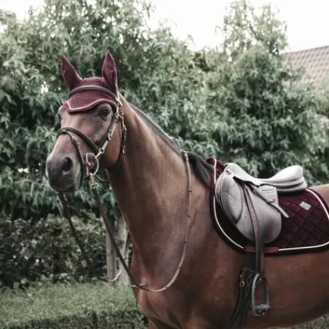 Tapis de selle Corduroy DRESSAGE - Kentucky - Amorti optimal Tapis De Dressage|Tapis De Selle