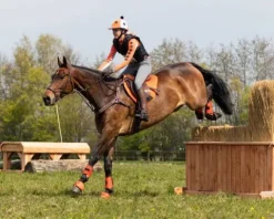 Tapis de selle country Vegas Tapis De Selle|Tapis De Selle