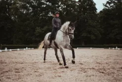 Outlet Tapis de selle Dark Sky - Tapis De Dressage|Tapis De Selle