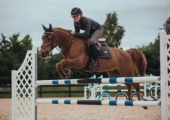 Outlet Tapis de selle Dark Sky - Tapis De Dressage|Tapis De Selle