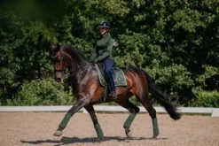Outlet Tapis de selle DRESSAGE Forest Green - - Tissu déperlant Tapis De Dressage|Tapis De Selle