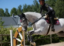 Online Tapis de selle - Black Cherry Tapis De Dressage|Tapis De Cso