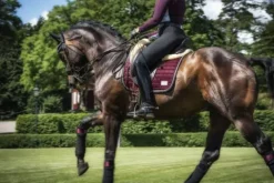 Online Tapis de selle - Black Cherry Tapis De Dressage|Tapis De Cso