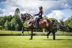 Online Tapis de selle - Black Cherry Tapis De Dressage|Tapis De Cso