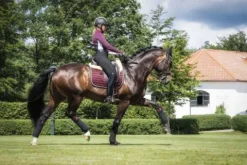 Online Tapis de selle - Black Cherry Tapis De Dressage|Tapis De Cso