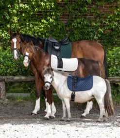 Discount Tapis de selle Felix Tapis De Dressage|Tapis De Selle