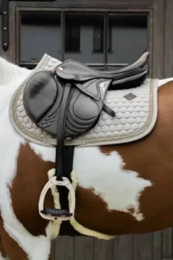 Online Tapis de selle Glitter Band MIXTE - Kentucky Tapis De Cso|Tapis De Selle