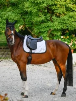 Sale Tapis de selle Glitter Dressage - - Élégance & confort Tapis De Dressage|Tapis De Selle