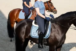 Tapis de selle glossy jewel classic sports 2025 - - edition limitée Tapis De Selle|Tapis De Selle