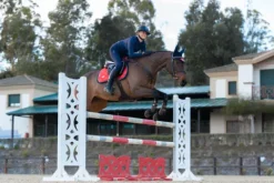 Outlet Tapis de selle Grenadine - Tapis De Cso|Tapis De Selle