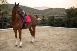 Outlet Tapis de selle Grenadine - Tapis De Cso|Tapis De Selle