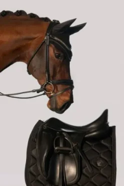 Best Tapis de selle highgloss pearls platinum - - effet satiné Tapis De Dressage|Tapis De Selle