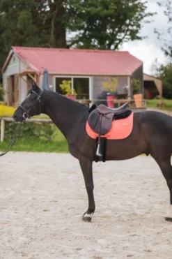 Best Tapis de selle LEO - Tapis De Cso|Tapis De Selle