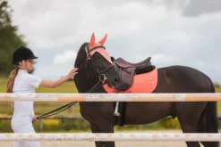 Best Tapis de selle LEO - Tapis De Cso|Tapis De Selle