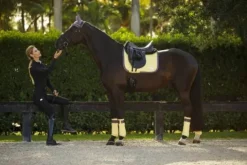 Best Tapis de selle Limoncello - Tapis De Dressage|Tapis De Cso