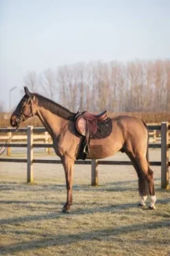 Hot Tapis de selle LOVE MIXTE et rose - Tapis De Cso|Tapis De Selle