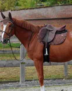 Online Tapis de selle LOVE Obstacle Chocolat - Tapis De Cso|Tapis De Selle