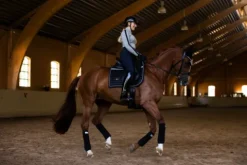 Online Tapis de selle Luminous Black - Tapis De Dressage|Tapis De Selle