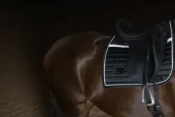 Online Tapis de selle Luminous Black - Tapis De Dressage|Tapis De Selle