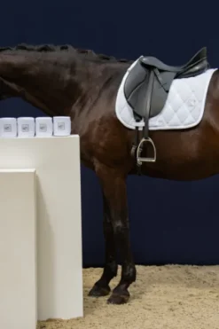 Online Tapis de selle Mesh Classic Sports 2024 - Tapis De Dressage|Tapis De Cso