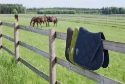 Online Tapis de selle mesh Platinum 24 Tapis De Dressage|Tapis De Cso