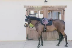 New Tapis de selle Metal Chain MIXTE  - Kentucky Tapis De Cso|Tapis De Selle