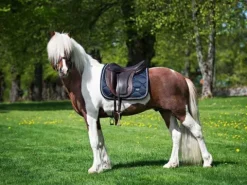 Sale Tapis de selle midnight blue - - tissu déperlant Tapis De Dressage|Tapis De Selle