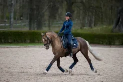 Sale Tapis de selle midnight blue - - tissu déperlant Tapis De Dressage|Tapis De Selle