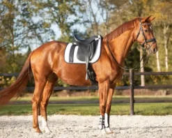 New Tapis de selle mixte KAE Tapis De Cso|Tapis De Selle