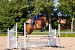 Discount Tapis de selle Modern Lagoon Blush - Tapis De Dressage|Tapis De Selle