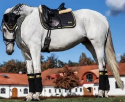 Online Tapis de selle Noir/Or - Tapis De Dressage|Tapis De Cso