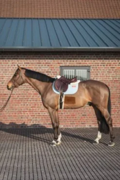 Discount Tapis de selle Obstacle LEO - Tapis De Cso|Tapis De Selle