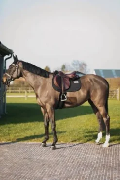 Discount Tapis de selle Obstacle LEO - Tapis De Cso|Tapis De Selle