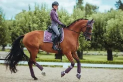 Online Tapis de selle Orchid Bloom - Tapis De Dressage|Tapis De Selle