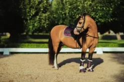 Online Tapis de selle Orchid Bloom - Tapis De Dressage|Tapis De Selle