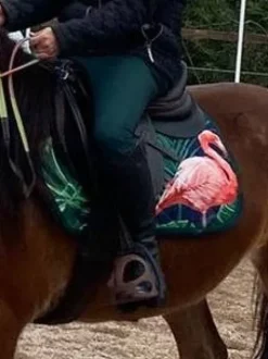 Tapis de selle original motif flamand rose Tapis De Selle|Tapis De Selle