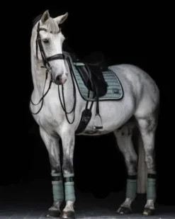Outlet Tapis de selle PEPPERMINT - Tapis De Dressage|Tapis De Cso