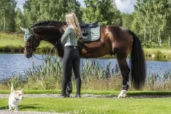 Outlet Tapis de selle PEPPERMINT - Tapis De Dressage|Tapis De Cso