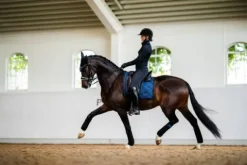 New Tapis de selle Polar Night Glimmer - Tapis De Dressage|Tapis De Cso