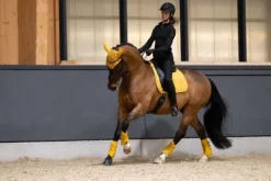 Discount Tapis de selle Pro Soft MIXTE PLATINUM 2025 - Tapis De Cso|Tapis De Selle