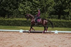 Sale Tapis de selle Purple White Edge - Tapis De Dressage|Tapis De Selle