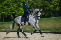 Clearance Tapis de selle ROYAL CLASSIC - Tapis De Dressage|Tapis De Selle