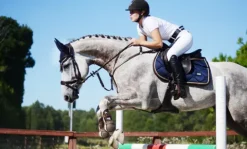 Clearance Tapis de selle ROYAL CLASSIC - Tapis De Dressage|Tapis De Selle