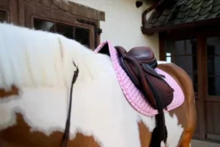 Discount Tapis de selle Sammy Collection MIXTE - Kentucky Tapis De Cso|Tapis De Selle