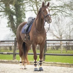 Outlet Tapis de selle Sensisoft - - Doublure en fausse fourrure Tapis De Cso|Tapis De Dressage