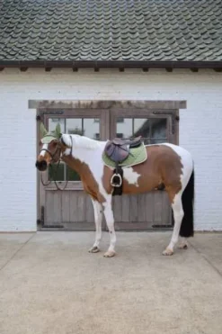 Tapis de selle softshell onion quilt mixte - Kentucky Tapis De Cso|Tapis De Selle