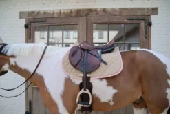 Tapis de selle softshell onion quilt mixte - Kentucky Tapis De Cso|Tapis De Selle